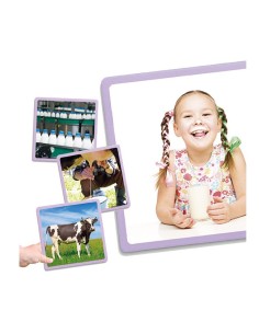 Maxi Sequenze Logiche Akros – Comprendere il tempo e l’origine degli alimenti