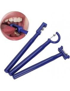 ProSet per il training linguale