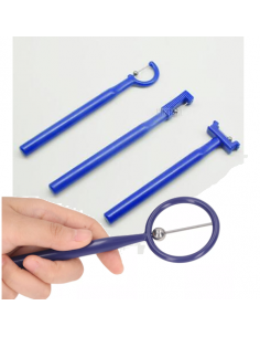 ProSet per il training linguale