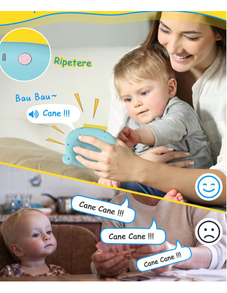 Flash-cards Vocabolario