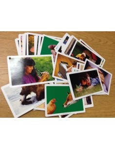 Inizia la storia Webber