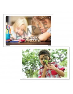 Inizia la storia Webber