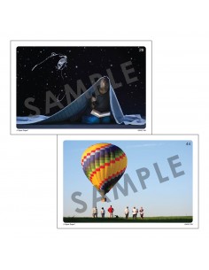 Inizia la storia Webber