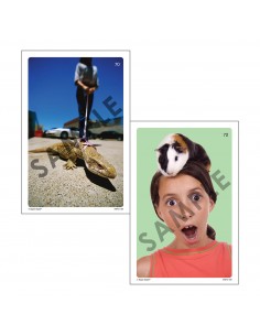 Inizia la storia Webber