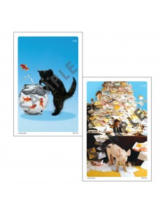 Inizia la storia Webber