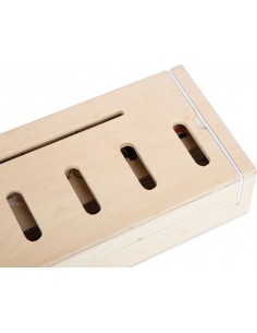 Associa le figure ed esplora il mondo