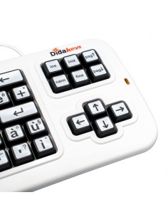 tastiera facilitata Didakeys WQ