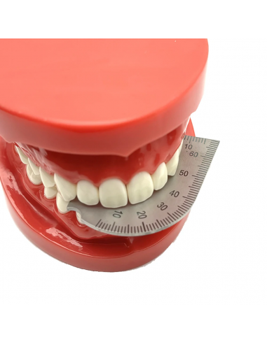 Calibro per la misurazione dell'apertura della bocca