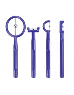 Guidalingua training linguale