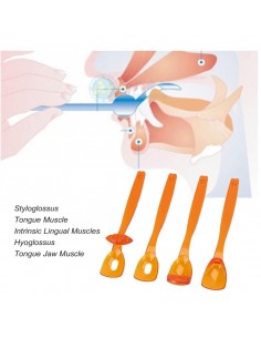 Kit OraLight  per esercizi oro-motori adulti/bambini