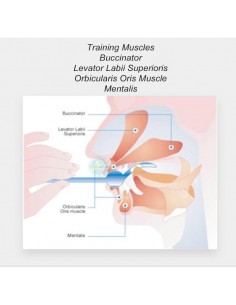 Kit OraLight  per esercizi oro-motori adulti/bambini