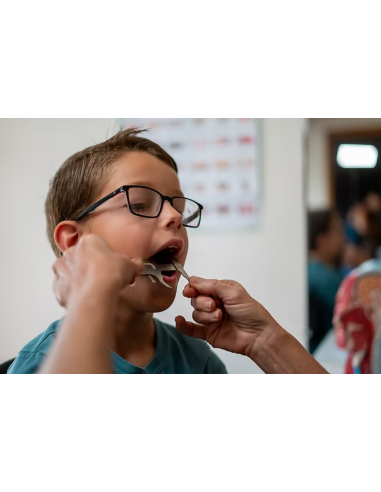 Calibro Boley Acciaio