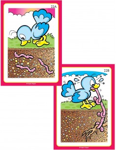 Prima e dopo Fun Deck