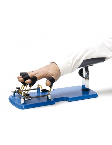 Modulo Flesso Estensione