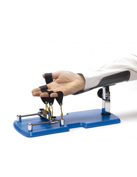 Modulo Flesso Estensione