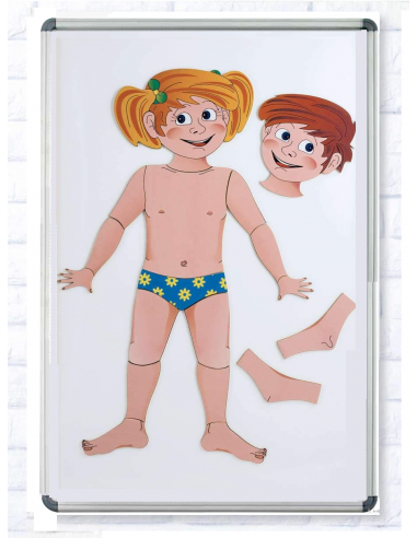 Schema corporeo magnetico con lavagna