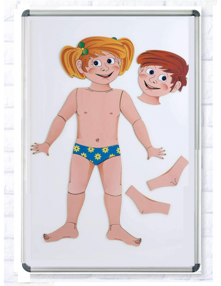 Schema corporeo magnetico con lavagna