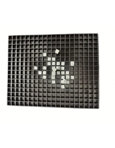 Griglia con 100 dadi Braille