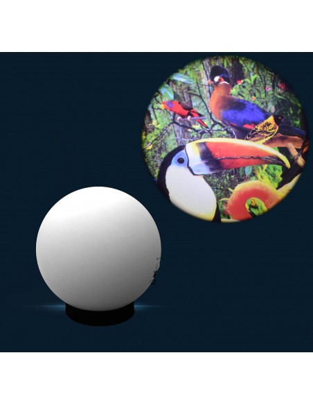 Disco 6"  Animali per Proiettori Opti Kinetics – Effetti sensoriali