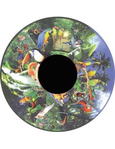 Disco 6" Animali per Proiettori Opti Kinetics