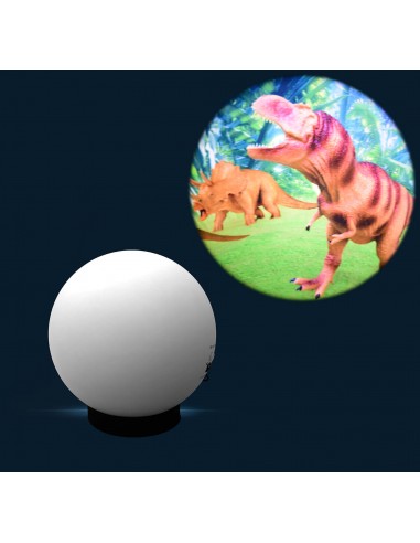 Disco 6"  Animali per Proiettori Opti Kinetics – Effetti sensoriali