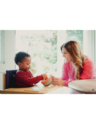 Ciotola Itsy con coperchi Talk Tools