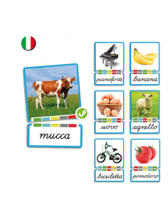 Impara i Nomi - Schede fotografiche