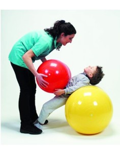 Palla riabilitativa Physio Roll Ø 55cm