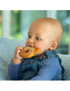 Silisoft Massaggiagengive gioco Koala