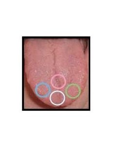 Elastici ortodontici 5/16" per terapia miofunzionale – lotto speciale (scadenza superata)