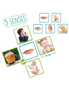 I 5 Sensi – Gioco Educativo Sensoriale