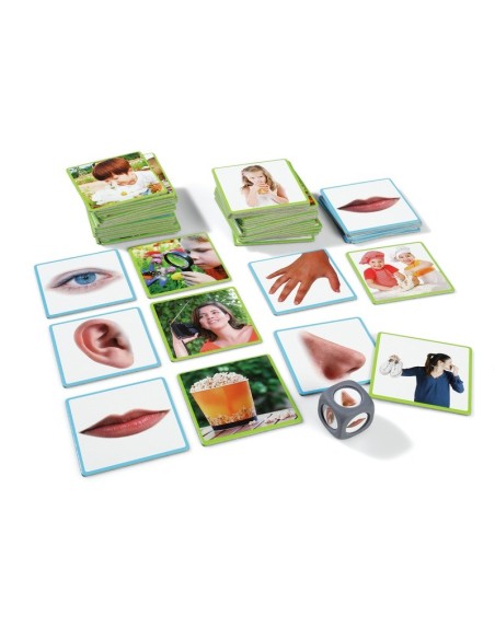 Cassetta dei Sensi – Kit multisensoriale completo