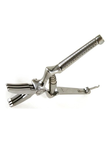 Masticatore per alimenti
