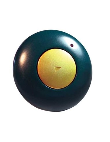 Comunicatore Go Talk bottone