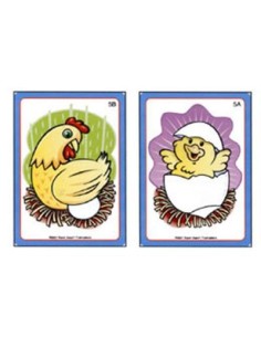 Dimmi come! dimmi perché! Fun Deck