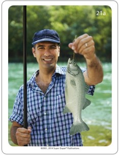 Verbi - Schede fotografiche Webber