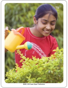 Verbi - Schede fotografiche Webber