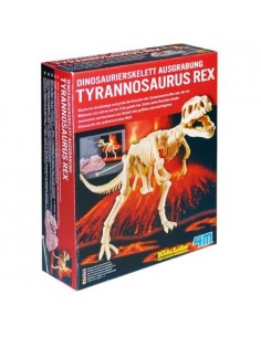 Scava e scopri - Kids Lab 4m