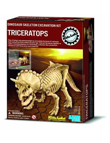 Scava e scopri - Kids Lab 4m