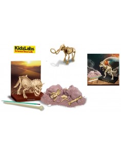 Scava e scopri - Kids Lab 4m