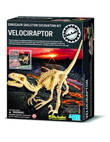 Scava e scopri - Kids Lab 4m