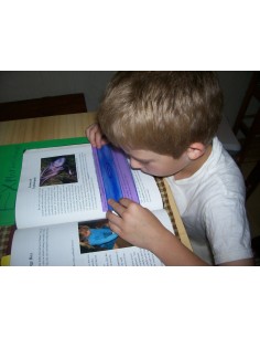 Righelli per lettura