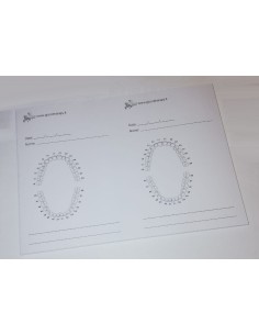 Cofanetto ARK's Animal Menagerie