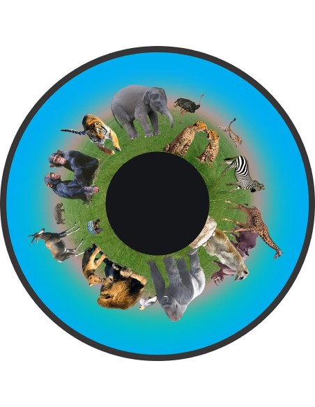 disco proiettore solar