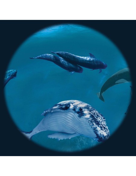 Disco 6"  Animali per Proiettori Opti Kinetics