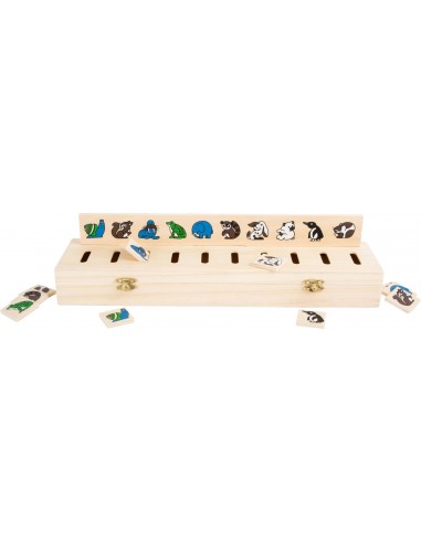 Associa le figure-small foot