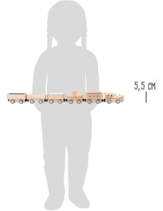 Treno Magnetico in legno