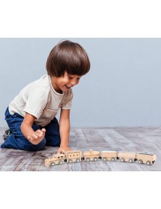 Treno Magnetico in legno