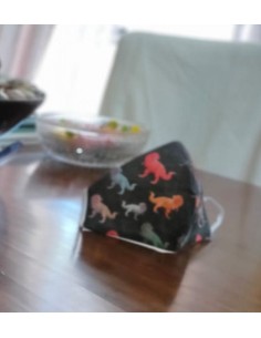 Mascherina Dinosauri Lavabile Adulti