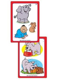 schede Capire la negazione Fun Deck